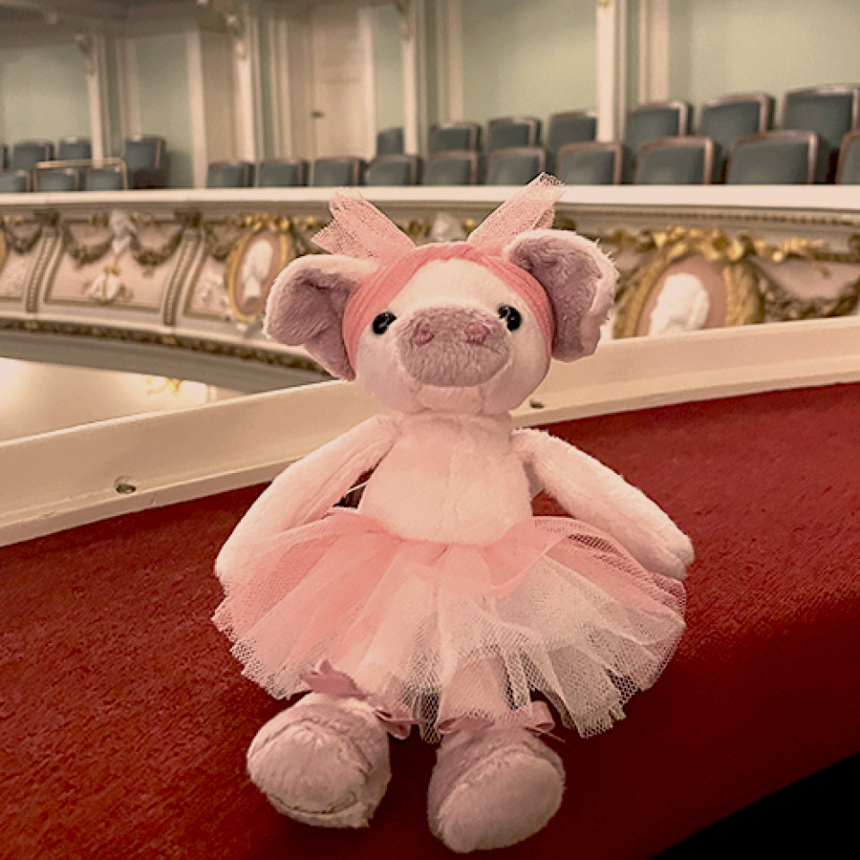 Plüschtier Schwein mit Tutu im Opernhaus