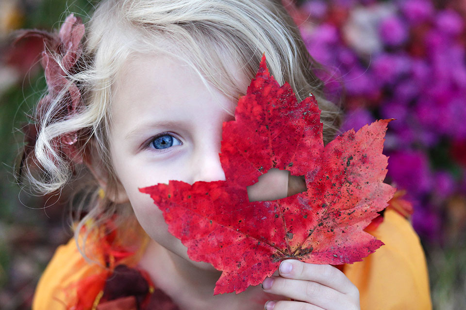 Führungen in den Herbstferien Führungen in den Herbstferien